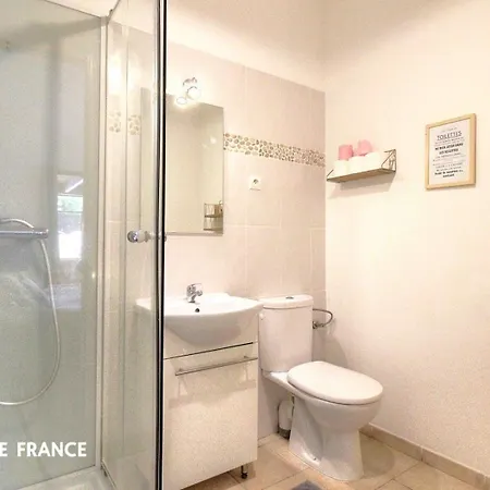 Tatil Evi Piscine Pianottoli-Caldarello (Corsica)