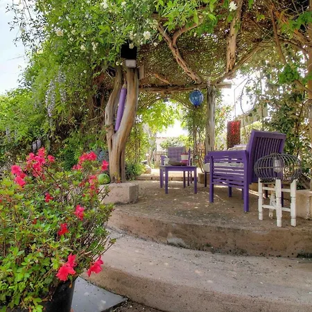 Holiday home Piscine Pianottoli-Caldarello (Corsica)